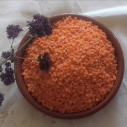 Lentille corail
