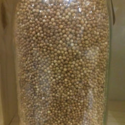 Coriandre grain