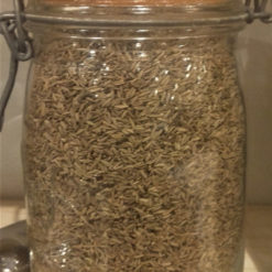 Cumin grain